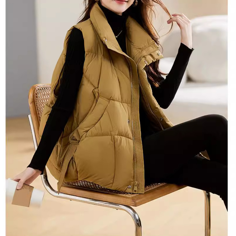 Winter Clothing Colors 2026 - ダウンコットンジャケット レディース 2026 軽量 薄手 無地