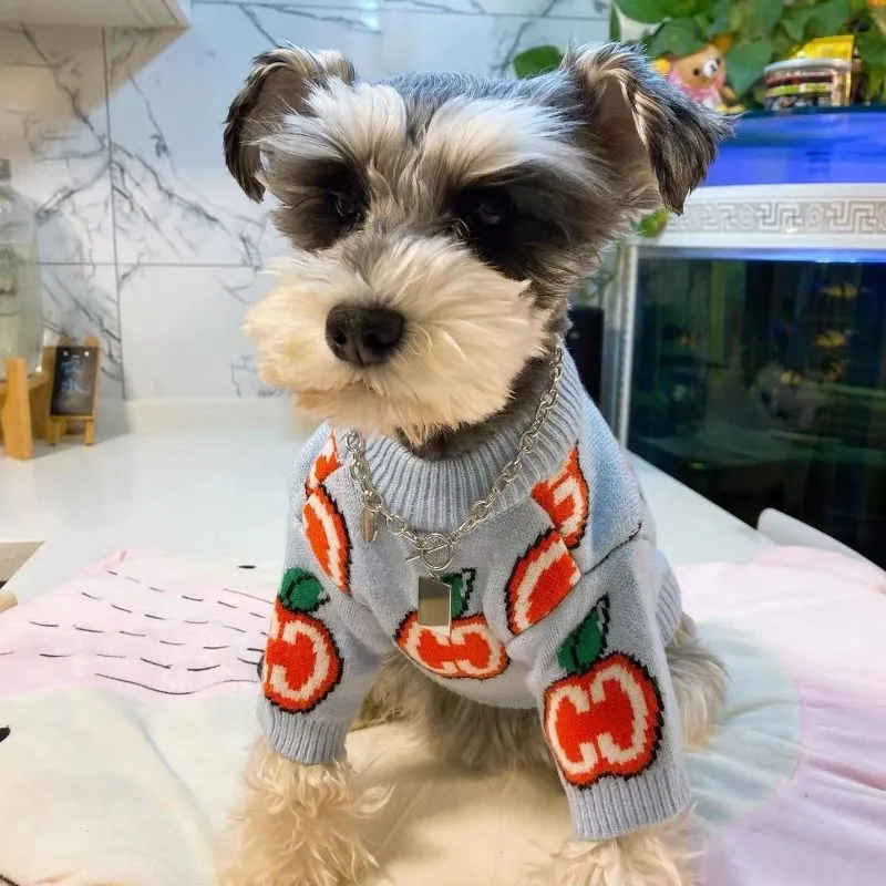 レターセーター ペット犬服 コットン スウェットシャツ 犬服 - Winter Clothing Boys のレビューと価格