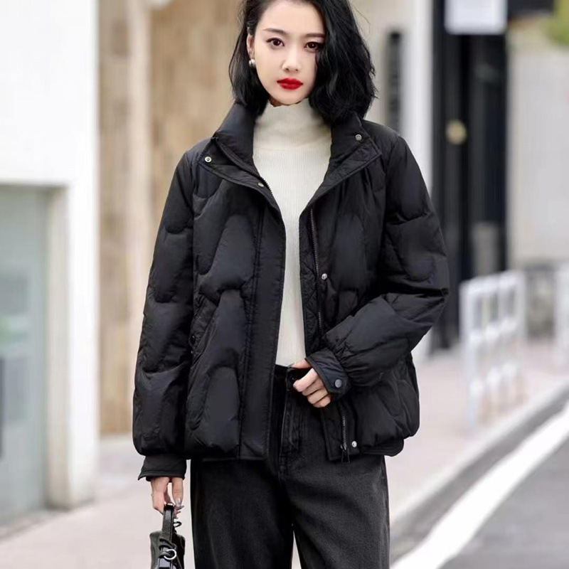 ダウンコットンジャケット レディース 2026 新冬 暖かい - Winter Clothing Colors 2026 のレビューと価格