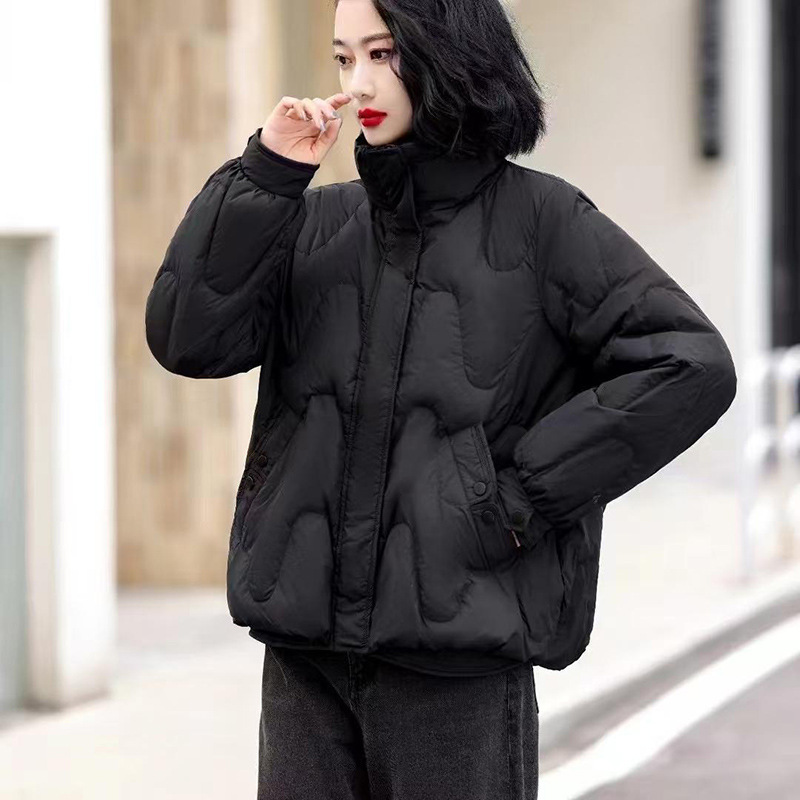ダウンコットンジャケット レディース 2026 新冬 暖かい - Winter Clothing Colors 2026 のレビューと価格