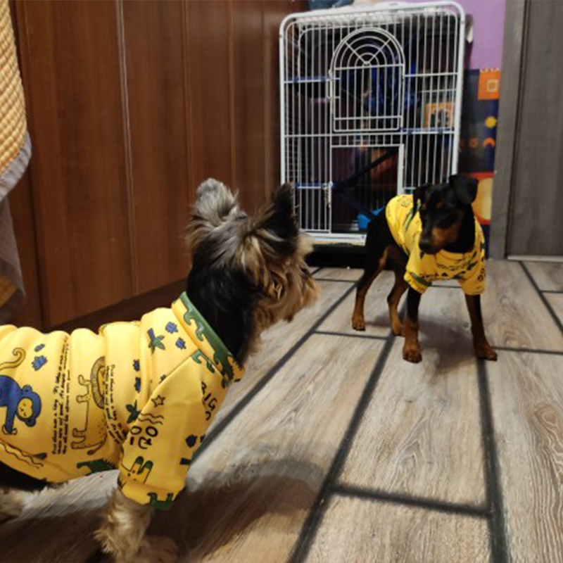 Xs 犬服小型犬用女の子子犬服小型犬用男の子猫ジャケットパー - Winter Clothing Boys のレビューと価格