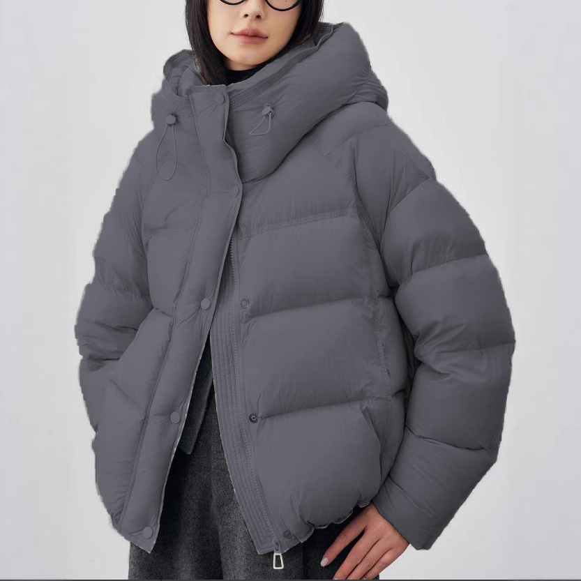ダウンコットンジャケット女性 2026 新しい冬暖かいショー - Winter Clothing Colors 2026 のレビューと価格