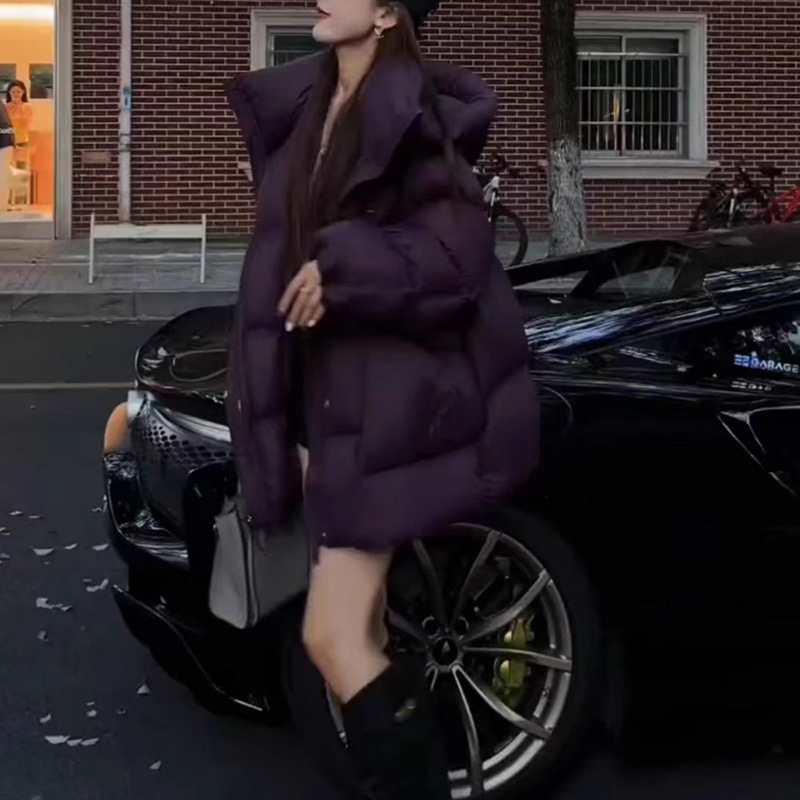 ダウンコットンジャケット レディース 2026 冬 暖かい  - Winter Clothing Colors 2026 のレビューと価格